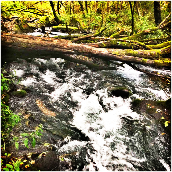 3-_meitu_2.jpg 3-_meitu_2.jpg